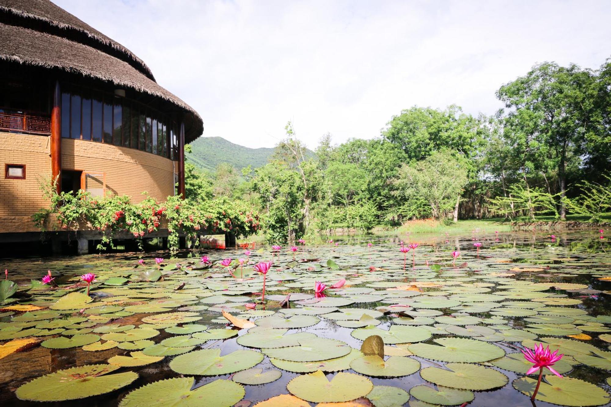Alba Wellness Resort By Fusion Huế Kültér fotó